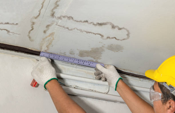 Reliable Structural Drying contractor in Roselle Park, NJ by Water Damage Irwin